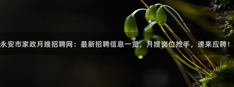 杏悦平台代理怎么赚钱快