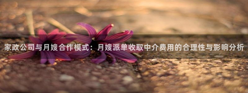 杏悦官方平台