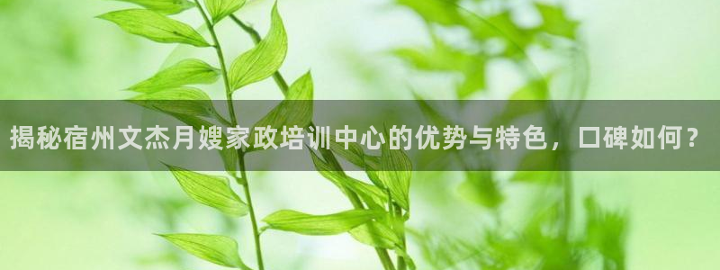 杏悦是什么平台