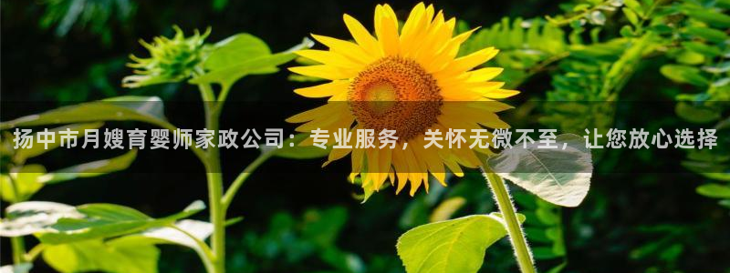 杏悦平台代理怎么样啊