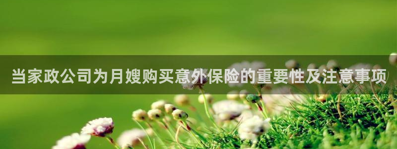 杏悦平台代理怎么赚钱快