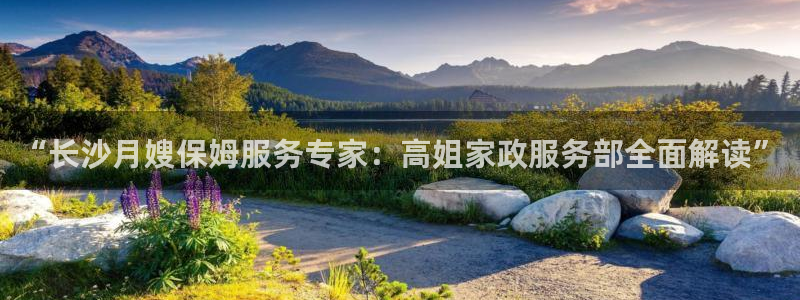 杏悦平台开户地址是什么