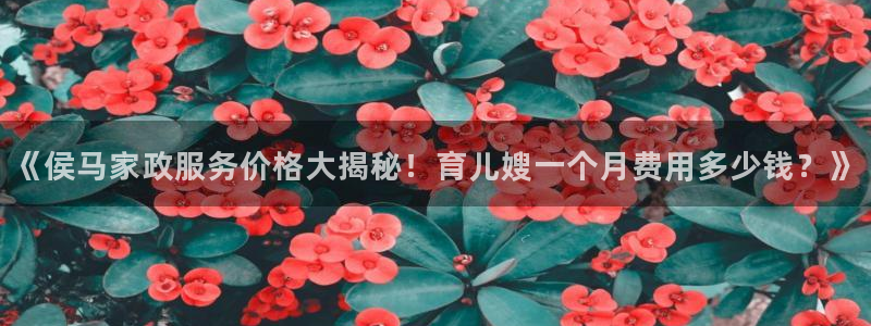 杏悦平台代理怎么做的