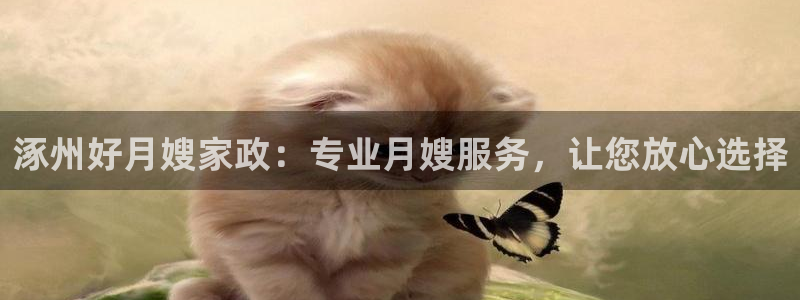 杏悦平台可靠吗可信吗安全吗
