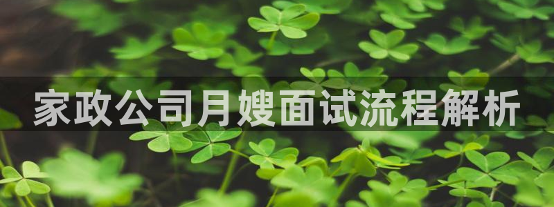 杏悦平台招商