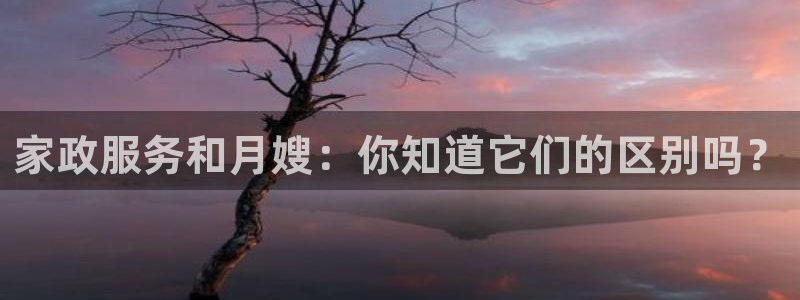 杏悦平台代理多少钱