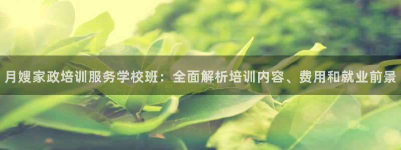 杏悦1招商地址