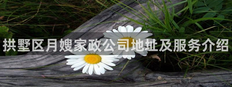 杏悦娱乐平台靠谱吗