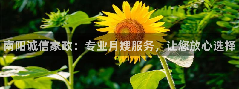 杏悦登入