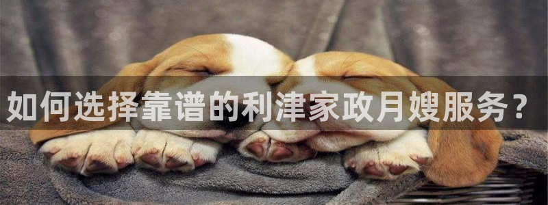 杏悦平台代理怎么赚钱快