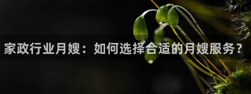 杏悦平台代理怎么做的
