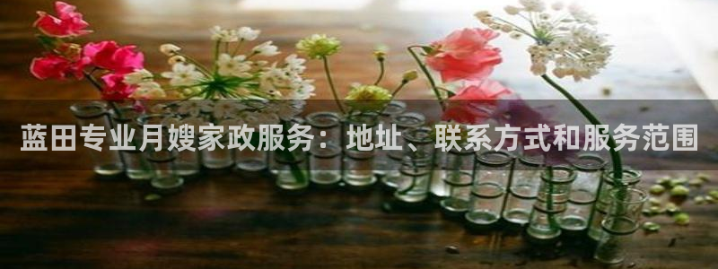 杏悦娱乐怎么玩
