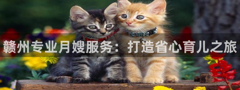 杏悦平台开户地址