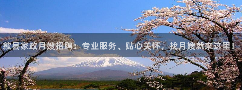 杏悦平台可靠吗