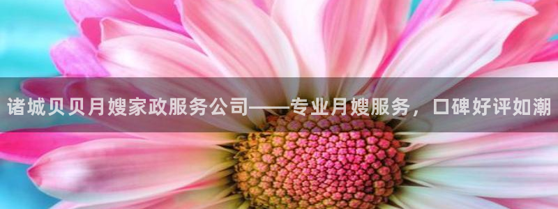 杏悦地址
