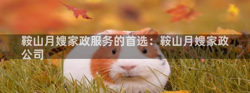 杏悦平台可靠吗可信吗是真的吗