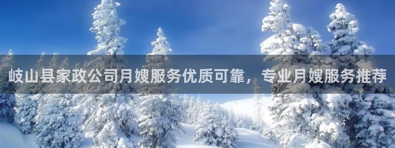 杏悦是什么平台