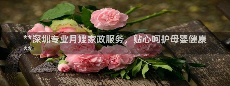 杏悦平台代理